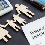 What Can Variable Whole Life Insurance Be Described As?