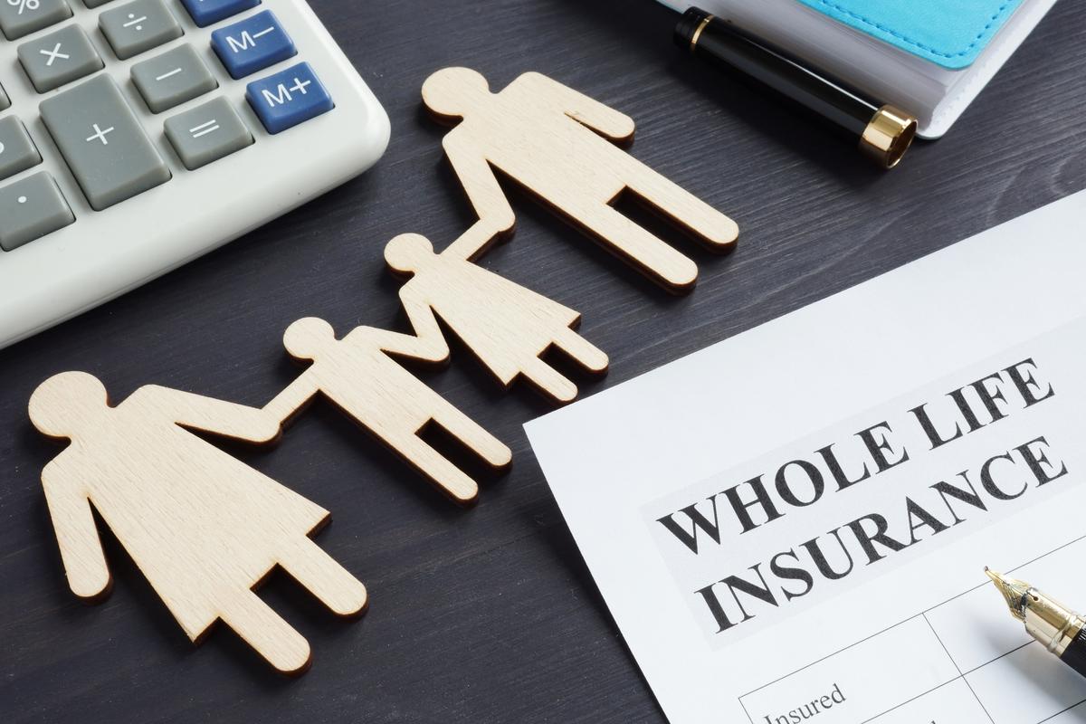 What Can Variable Whole Life Insurance Be Described As?